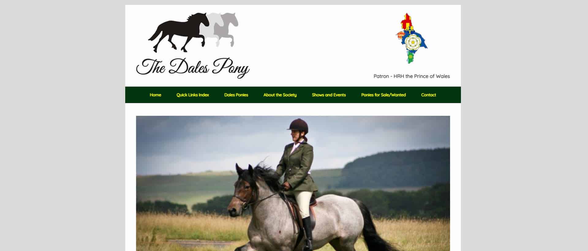 BWS_Dales Pony Society-After