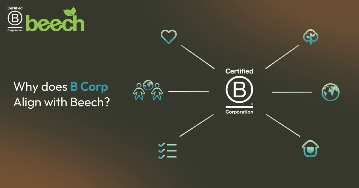 Spider diagram showing how B-Corp align with Beech?