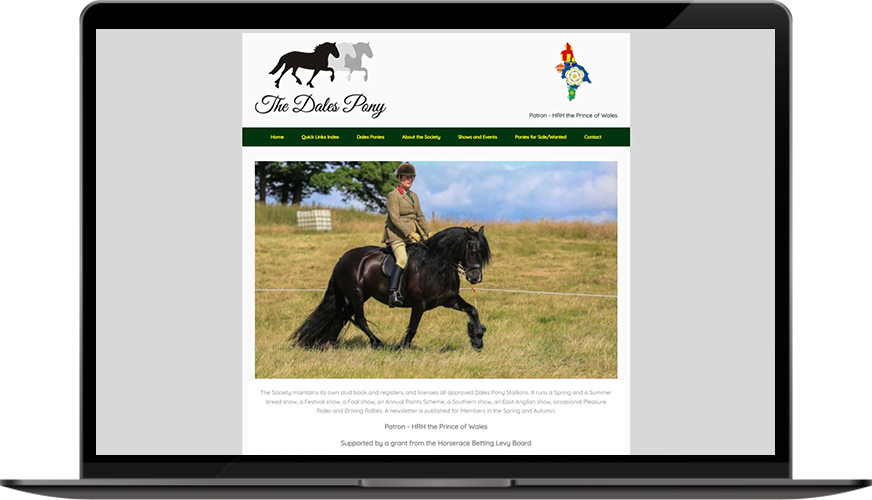 BWS_Dales Pony Society-Laptop