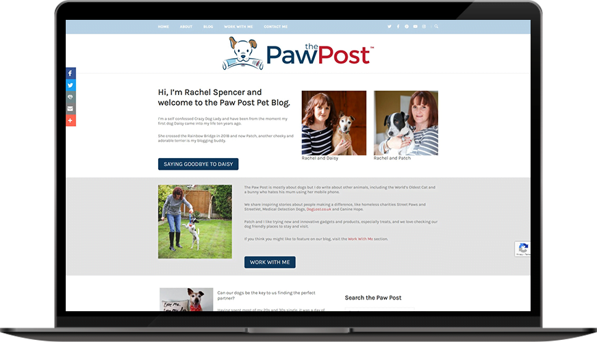 BWS_The Paw Post Pet-Laptop
